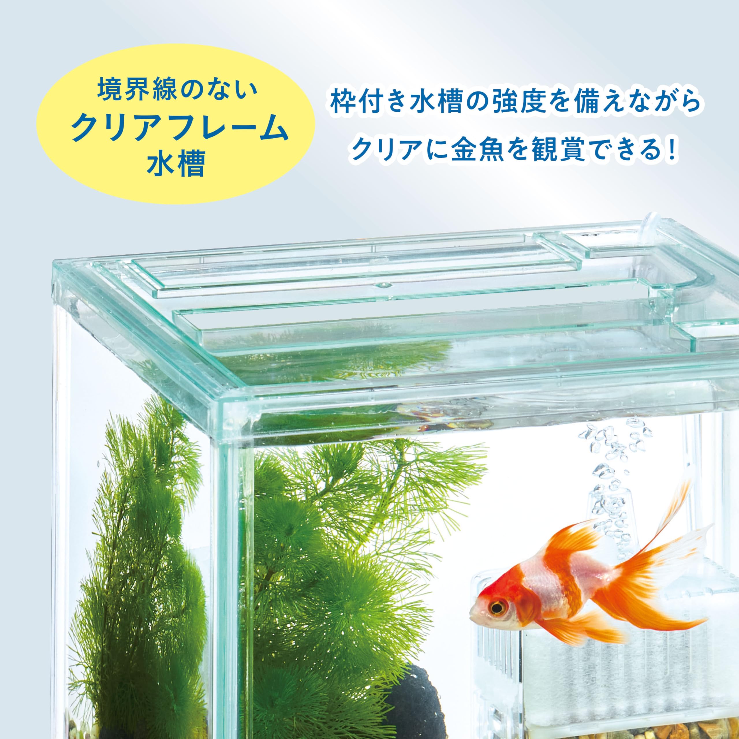 Amazon.co.jp: ジェックス GEX 金魚元気 ぶくぶくクリアセット